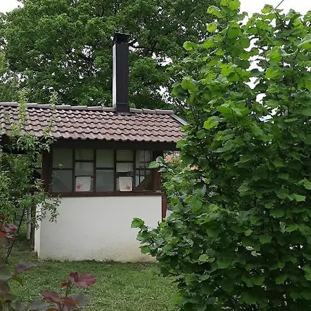 Апартаменты Tajra *